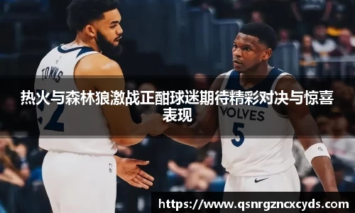 热火与森林狼激战正酣球迷期待精彩对决与惊喜表现